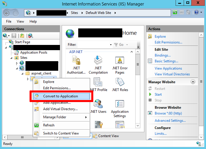 Host Dashboard Server as application in IIS - Convert to sub Application